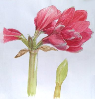 Aquarell