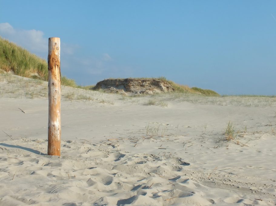 Nordsee-Strand in St. Peter-Ording Foto von einem Holzpfahl und Dünnen im Hintergrund am Nordsee-Strand von St. Peter-Ording