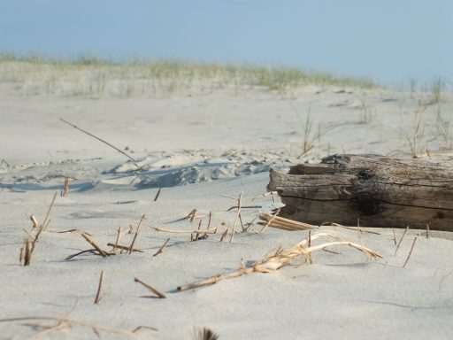 Fotografie Nordsee-Strand