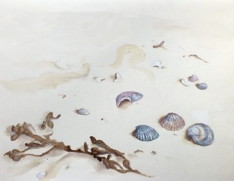 Aquarell Muscheln am Strand